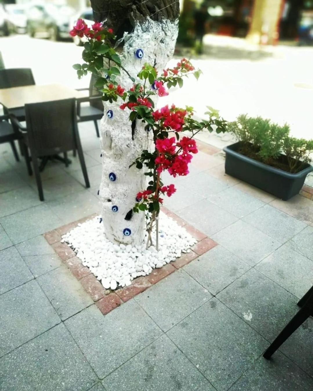 Punta Vista Hotel İzmir Kültér fotó